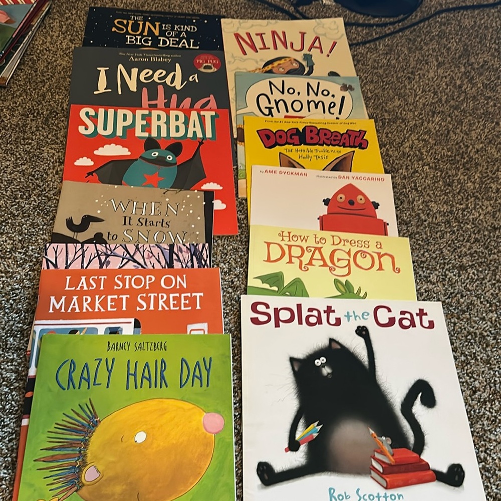Lot of 13 children’s Books, mostly Scholastic and other brands.